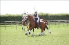 UKPA NC SAT_2450